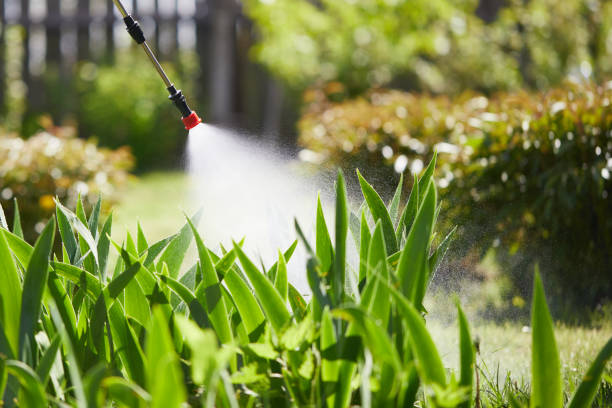 24/7 Emergency Cockroach Control experts in Mebane, NC