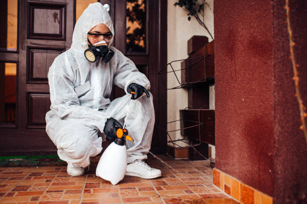 Reliable Cockroach Control contractor in Mebane, NC by Nex Pest Control